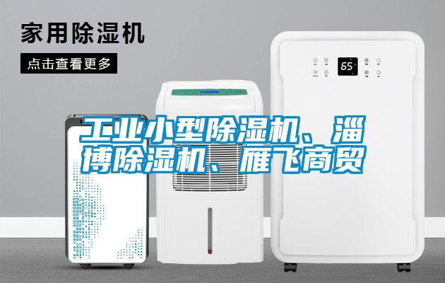 工業(yè)小型除濕機、淄博除濕機、雁飛商貿