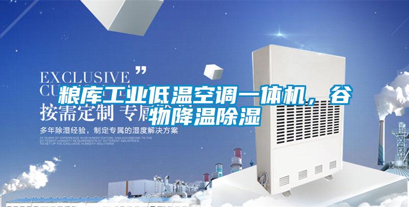 糧庫(kù)工業(yè)低溫空調(diào)一體機(jī)，谷物降溫除濕
