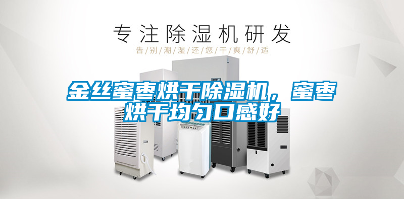 金絲蜜棗烘干除濕機，蜜棗烘干均勻口感好