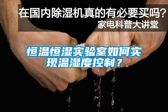 恒溫恒濕實驗室如何實現溫濕度控制？