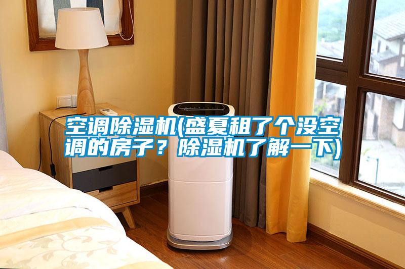 空調(diào)除濕機(盛夏租了個沒空調(diào)的房子？除濕機了解一下)
