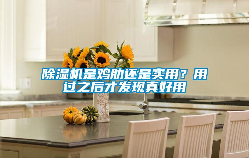 除濕機(jī)是雞肋還是實(shí)用？用過(guò)之后才發(fā)現(xiàn)真好用