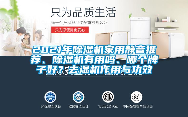 2021年除濕機家用靜音推薦、除濕機有用嗎、哪個牌子好？去濕機作用與功效
