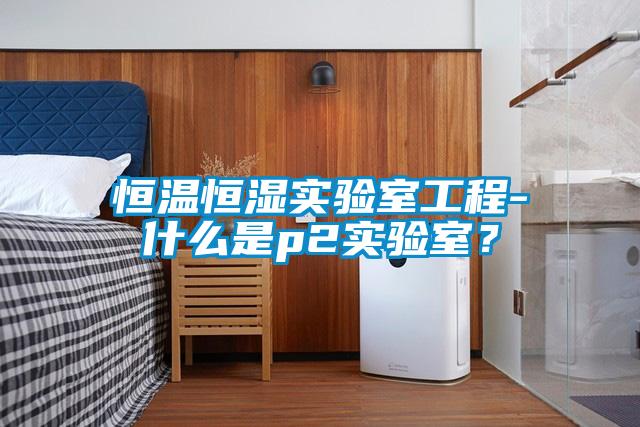 恒溫恒濕實(shí)驗(yàn)室工程-什么是p2實(shí)驗(yàn)室？