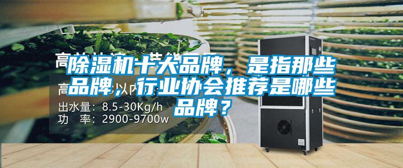 除濕機(jī)十大品牌，是指那些品牌，行業(yè)協(xié)會(huì)推薦是哪些品牌？