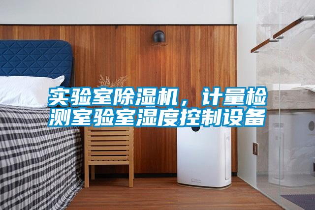實(shí)驗(yàn)室除濕機(jī)，計量檢測室驗(yàn)室濕度控制設(shè)備