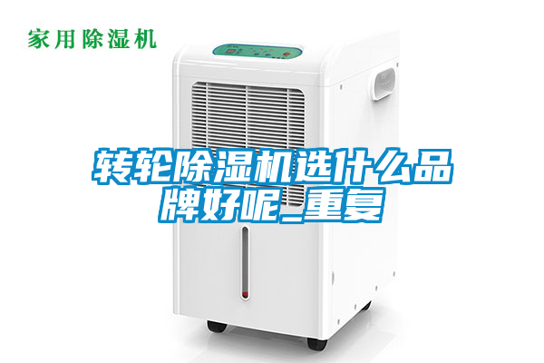 轉(zhuǎn)輪除濕機選什么品牌好呢_重復
