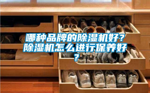 哪種品牌的除濕機好？除濕機怎么進(jìn)行保養(yǎng)好？