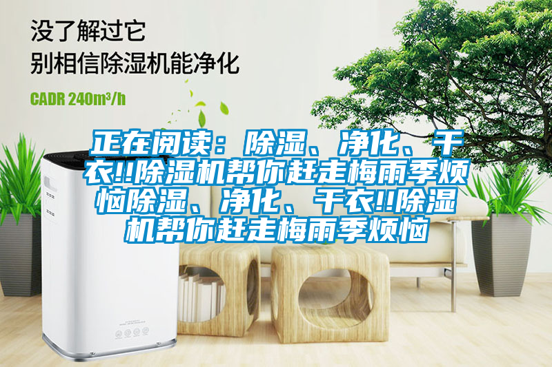 正在閱讀：除濕、凈化、干衣!!除濕機幫你趕走梅雨季煩惱除濕、凈化、干衣!!除濕機幫你趕走梅雨季煩惱