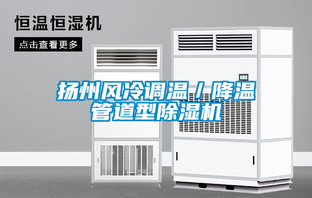 揚州風冷調(diào)溫／降溫管道型除濕機