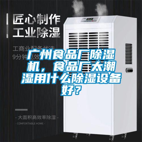 廣州食品廠除濕機(jī)，食品廠太潮濕用什么除濕設(shè)備好？