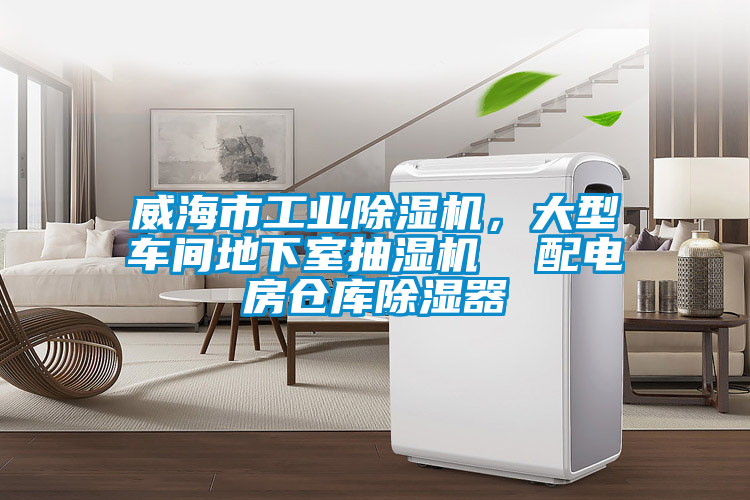 威海市工業(yè)除濕機，大型車間地下室抽濕機  配電房倉庫除濕器