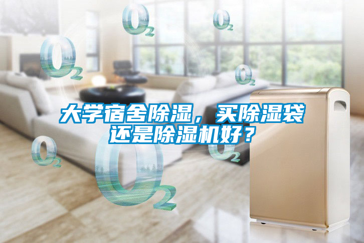 大學(xué)宿舍除濕，買(mǎi)除濕袋還是除濕機(jī)好？