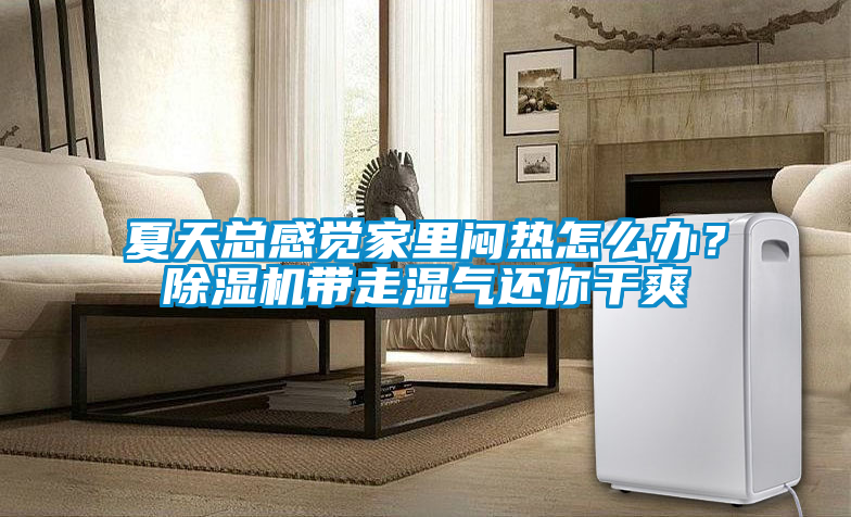 夏天總感覺(jué)家里悶熱怎么辦？除濕機(jī)帶走濕氣還你干爽