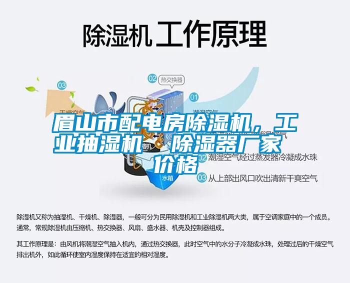 眉山市配電房除濕機，工業(yè)抽濕機  除濕器廠家 價格