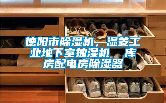 德陽市除濕機，濕菱工業(yè)地下室抽濕機  庫房配電房除濕器