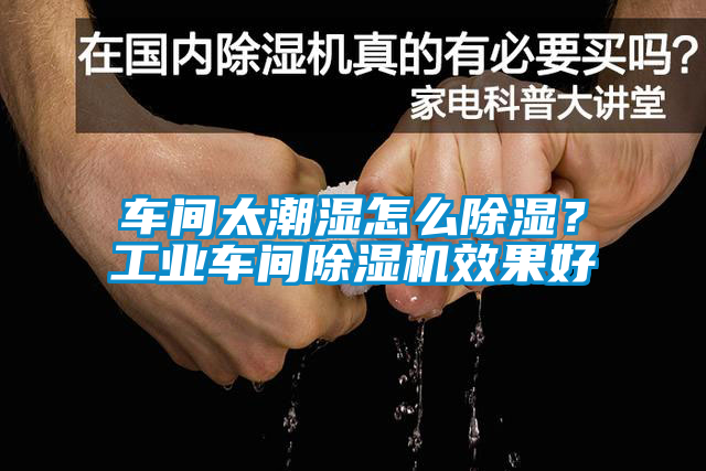 車間太潮濕怎么除濕？工業(yè)車間除濕機效果好