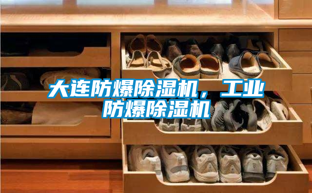 大連防爆除濕機(jī)，工業(yè)防爆除濕機(jī)