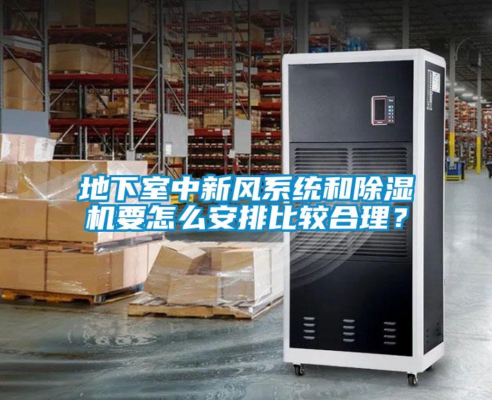 地下室中新風系統(tǒng)和除濕機要怎么安排比較合理？