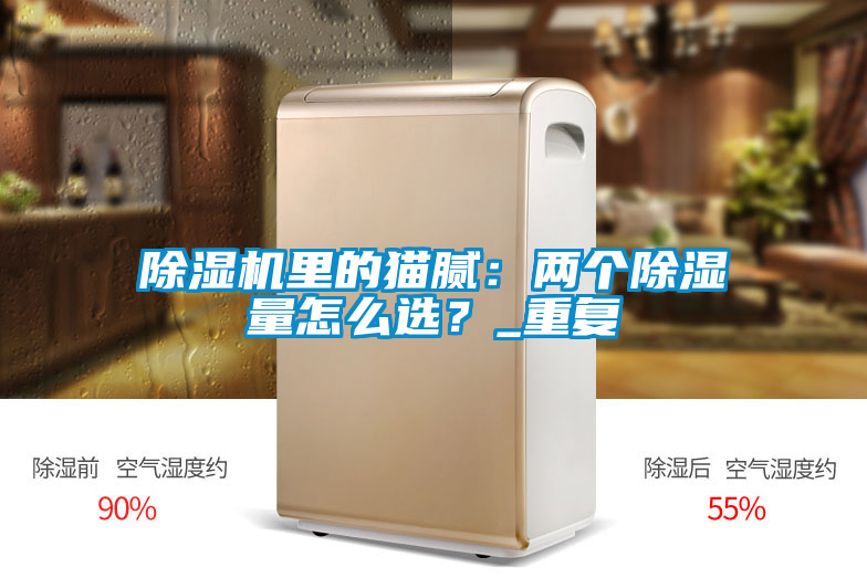 除濕機(jī)里的貓膩：兩個(gè)除濕量怎么選？_重復(fù)