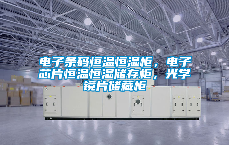 電子條碼恒溫恒濕柜，電子芯片恒溫恒濕儲(chǔ)存柜，光學(xué)鏡片儲(chǔ)藏柜