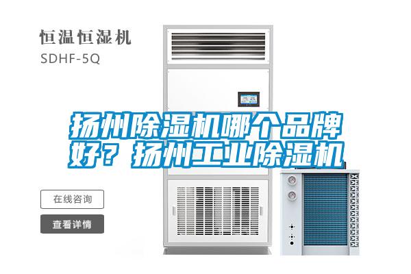 揚州除濕機哪個品牌好？揚州工業(yè)除濕機