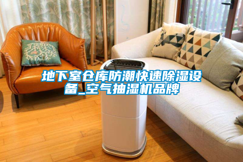 地下室倉(cāng)庫(kù)防潮快速除濕設(shè)備_空氣抽濕機(jī)品牌