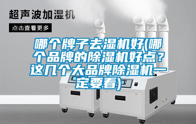哪個牌子去濕機好(哪個品牌的除濕機好點？這幾個大品牌除濕機一定要看)