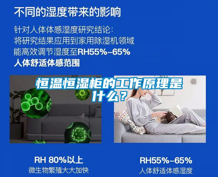 恒溫恒濕柜的工作原理是什么？