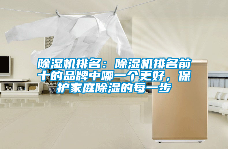 除濕機(jī)排名：除濕機(jī)排名前十的品牌中哪一個(gè)更好，保護(hù)家庭除濕的每一步