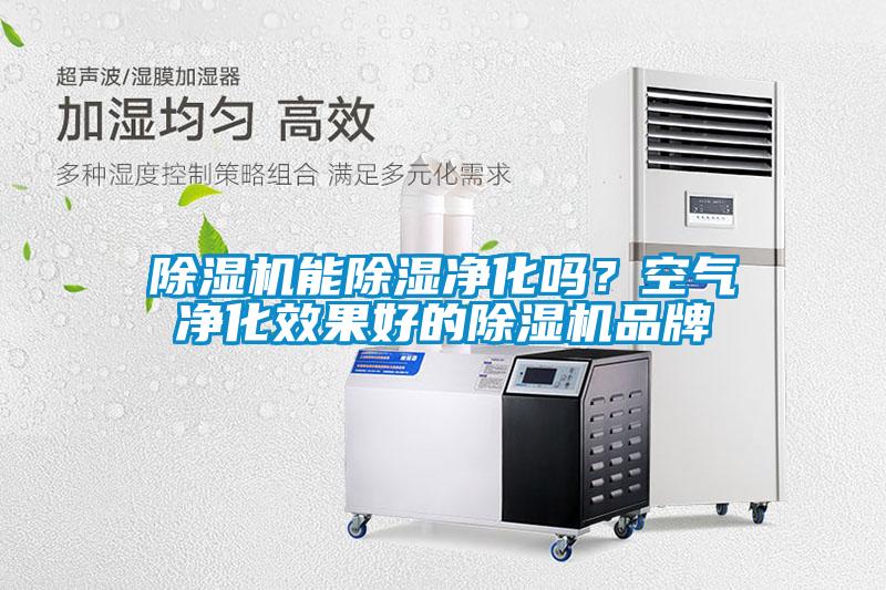 除濕機(jī)能除濕凈化嗎？空氣凈化效果好的除濕機(jī)品牌