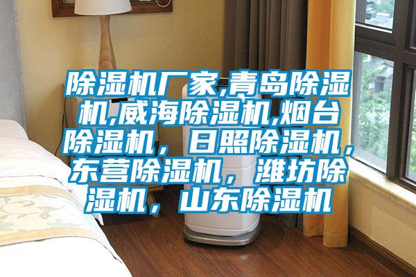 除濕機(jī)廠家,青島除濕機(jī),威海除濕機(jī),煙臺(tái)除濕機(jī)，日照除濕機(jī)，東營除濕機(jī)，濰坊除濕機(jī)，山東除濕機(jī)