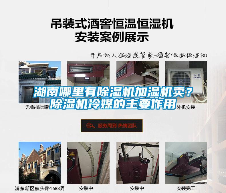 湖南哪里有除濕機加濕機賣？除濕機冷媒的主要作用