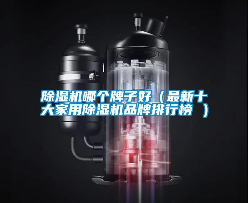 除濕機(jī)哪個牌子好（最新十大家用除濕機(jī)品牌排行榜 ）