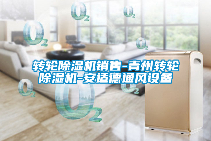 轉(zhuǎn)輪除濕機銷售-青州轉(zhuǎn)輪除濕機-安適德通風(fēng)設(shè)備