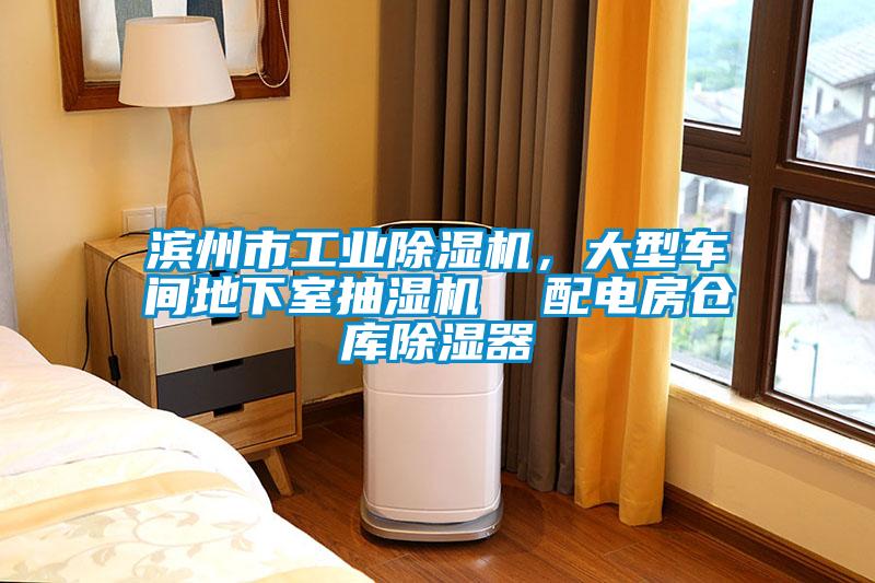 濱州市工業(yè)除濕機(jī)，大型車間地下室抽濕機(jī)  配電房倉庫除濕器