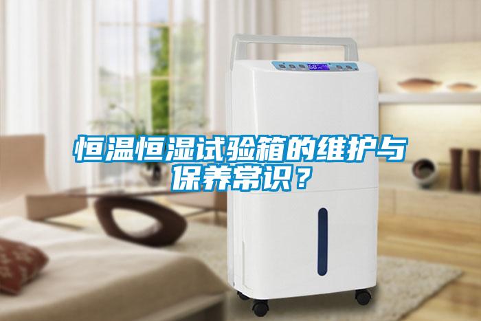 恒溫恒濕試驗箱的維護與保養(yǎng)常識？