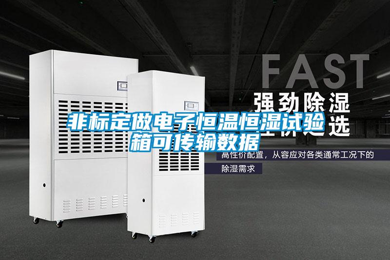 非標(biāo)定做電子恒溫恒濕試驗箱可傳輸數(shù)據(jù)