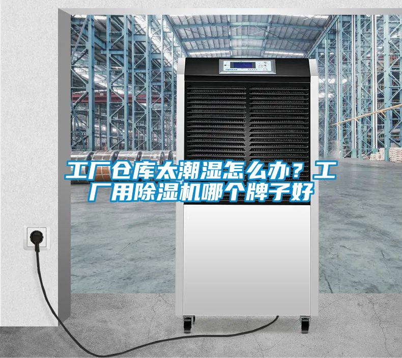 工廠倉庫太潮濕怎么辦？工廠用除濕機哪個牌子好