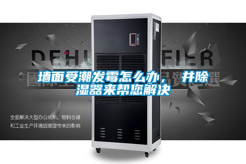 墻面受潮發(fā)霉怎么辦，東井除濕器來幫您解決
