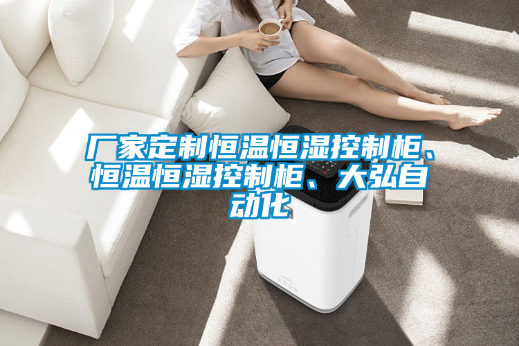 廠家定制恒溫恒濕控制柜、恒溫恒濕控制柜、大弘自動化