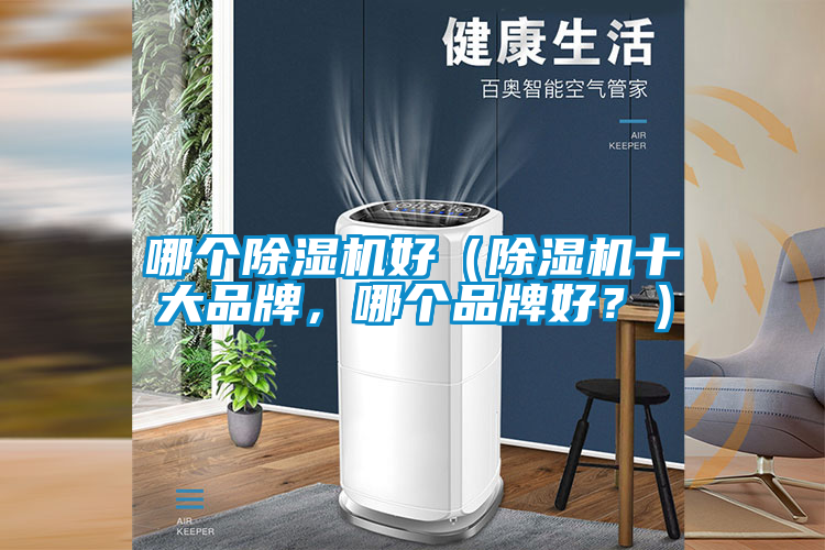 哪個除濕機好（除濕機十大品牌，哪個品牌好？）
