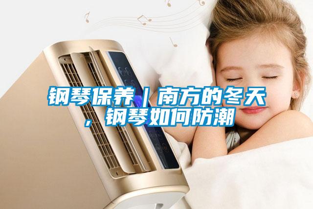 鋼琴保養(yǎng)｜南方的冬天，鋼琴如何防潮