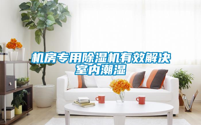 機(jī)房專(zhuān)用除濕機(jī)有效解決室內(nèi)潮濕