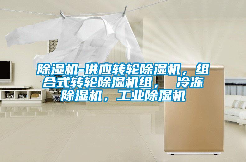 除濕機(jī)-供應(yīng)轉(zhuǎn)輪除濕機(jī)，組合式轉(zhuǎn)輪除濕機(jī)組， 冷凍除濕機(jī)，工業(yè)除濕機(jī)