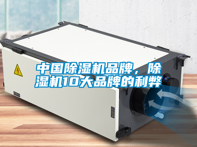 中國(guó)除濕機(jī)品牌，除濕機(jī)10大品牌的利弊