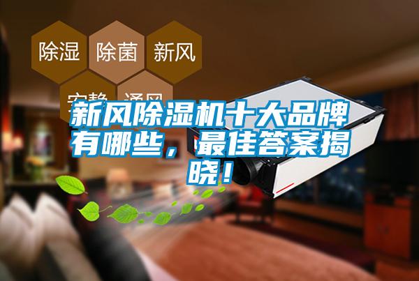 新風除濕機十大品牌有哪些，最佳答案揭曉！