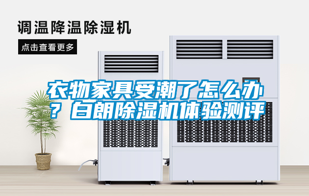 衣物家具受潮了怎么辦？白朗除濕機(jī)體驗(yàn)測評(píng)