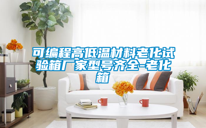可編程高低溫材料老化試驗(yàn)箱廠家型號齊全-老化箱
