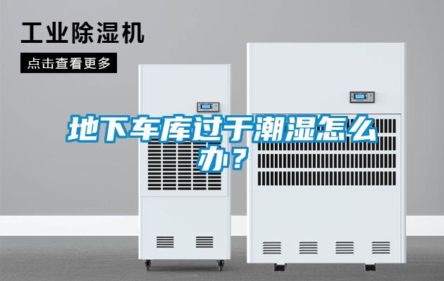 地下車庫(kù)過(guò)于潮濕怎么辦？